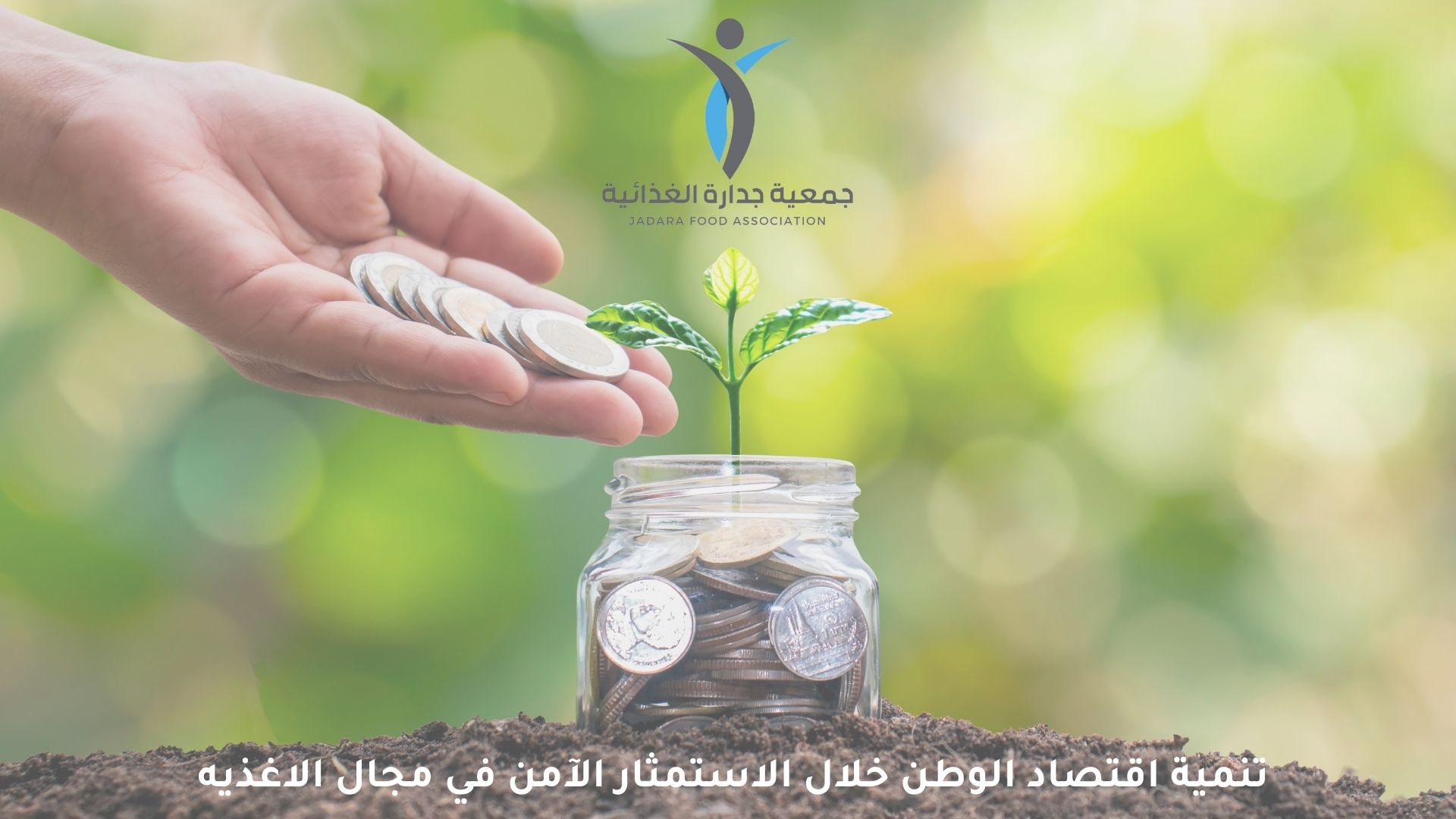 جدارة لوقو (1)